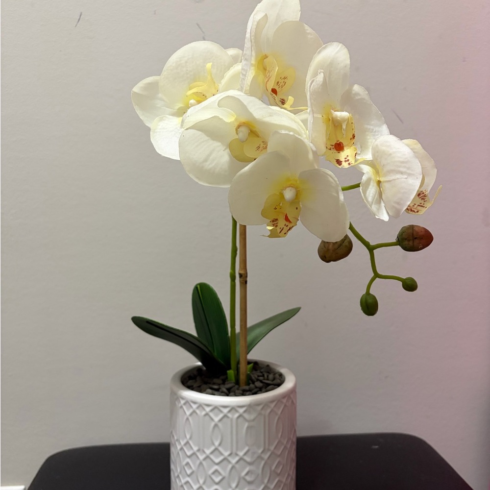 White Phalaenopsis Orchid Faux Plant in Decorative White Ceramic Pot